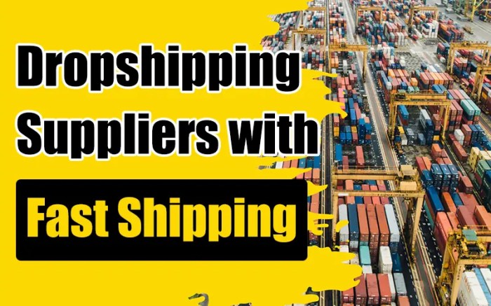 15 Dropshipping Suppliers for Lightning-Fast Deliveries (2025) 15 Dropshipping Suppliers for Lightning-Fast Deliveries (2025)