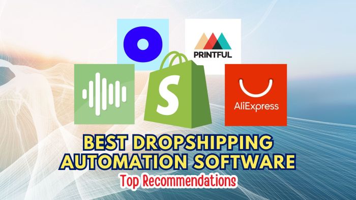 Best Dropshipping Automation Software: Top Recommendations - Subscribed.FYI Best Dropshipping Automation Software: Top Recommendations - Subscribed.FYI