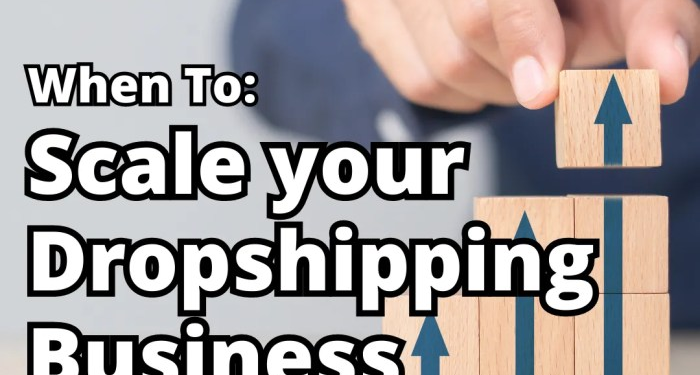 How to Scale a Dropshipping Business in 2022: The Ultimate Guide ...