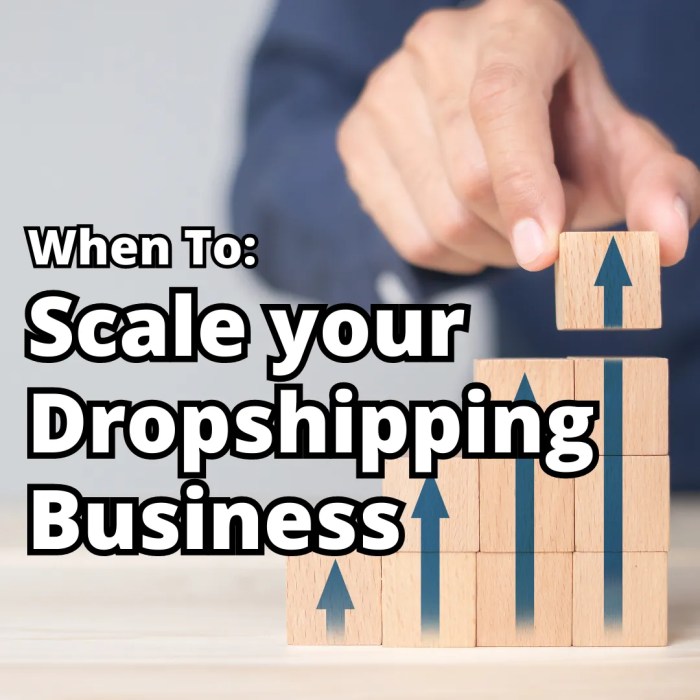 How to Scale a Dropshipping Business in 2022: The Ultimate Guide ... How to Scale a Dropshipping Business in 2022: The Ultimate Guide ...