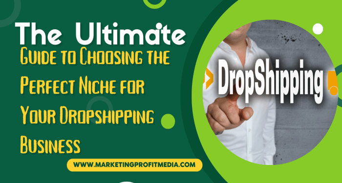 The Ultimate Guide to Choosing the Perfect Niche for Your Dropshipping ...