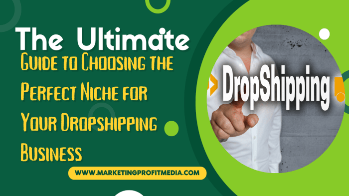 The Ultimate Guide to Choosing the Perfect Niche for Your Dropshipping ... The Ultimate Guide to Choosing the Perfect Niche for Your Dropshipping ...