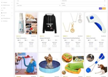 The 17 Best Winning Dropshipping Product Research Tools