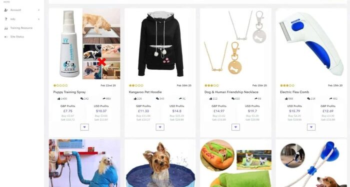 The 17 Best Winning Dropshipping Product Research Tools