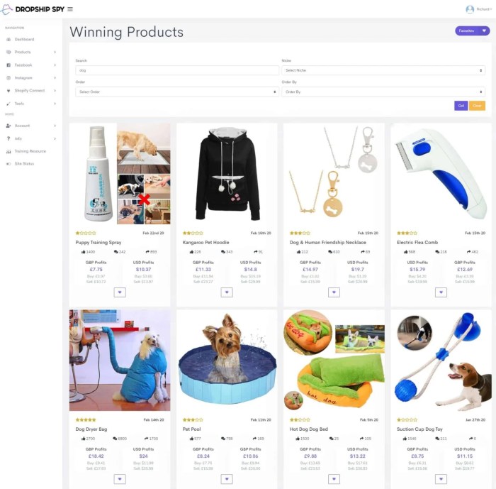 The 17 Best Winning Dropshipping Product Research Tools The 17 Best Winning Dropshipping Product Research Tools